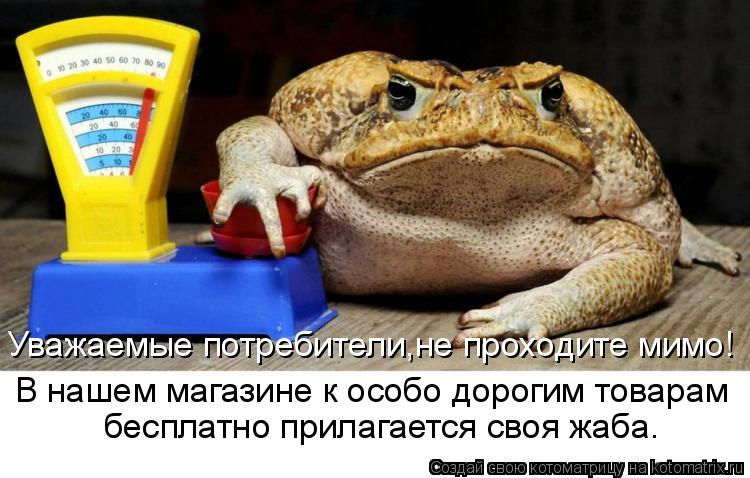 Котоматрица: Уважаемые потребители,не проходите мимо! В нашем магазине к особо дорогим товарам бесплатно прилагается своя жаба.
