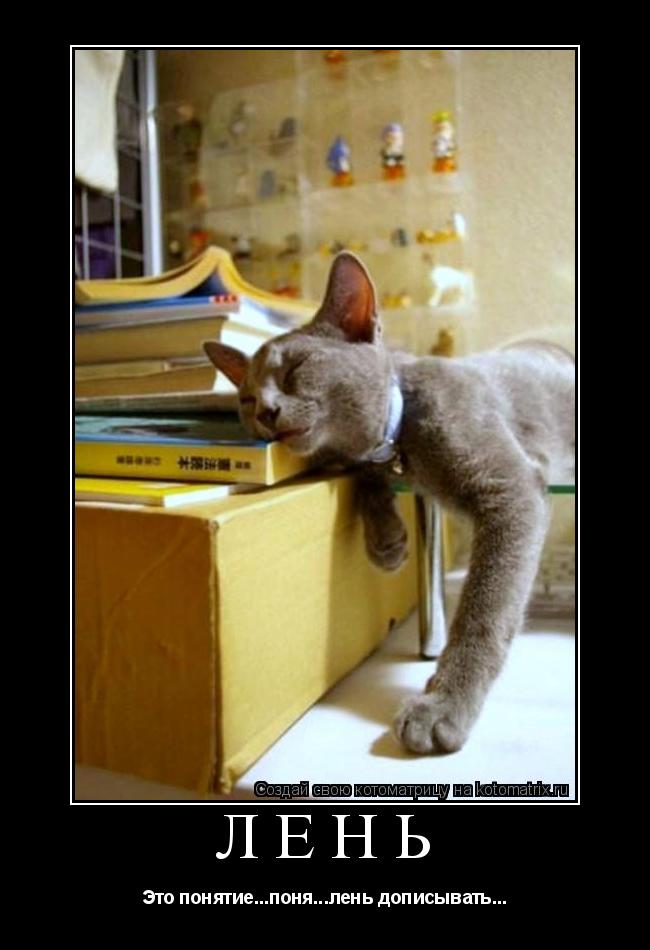 Котоматрица: Лень Это понятие...поня...лень дописывать...
