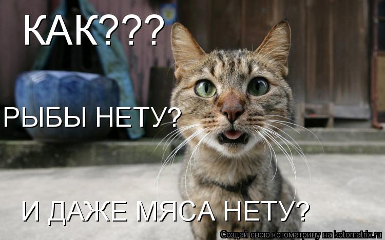 Котоматрица: КАК??? РЫБЫ НЕТУ? И ДАЖЕ МЯСА НЕТУ?
