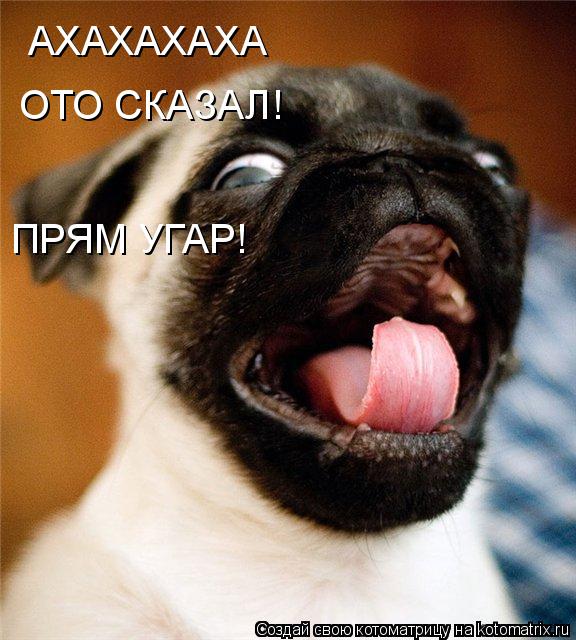 Котоматрица: АХАХАХАХА ОТО СКАЗАЛ! ПРЯМ УГАР!