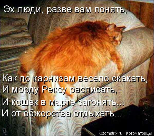 Эх,люди, разве вам понять, Как по карнизам весело скакать, И морду Рексу расписать, И кошек в март... Котоматрица: Эх,люди, разве вам понять, Как по карнизам весело скакать, И морду Рексу расписать, И кошек в марте загонять... И от обжорства отдыхать...