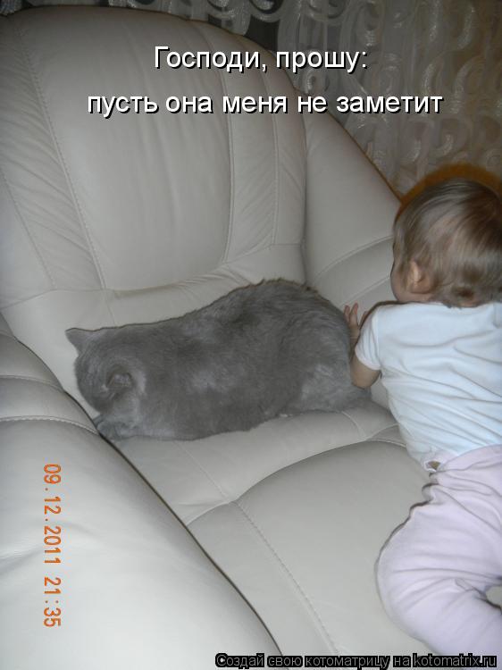 Котоматрица: Господи, прошу:  пусть она меня не заметит