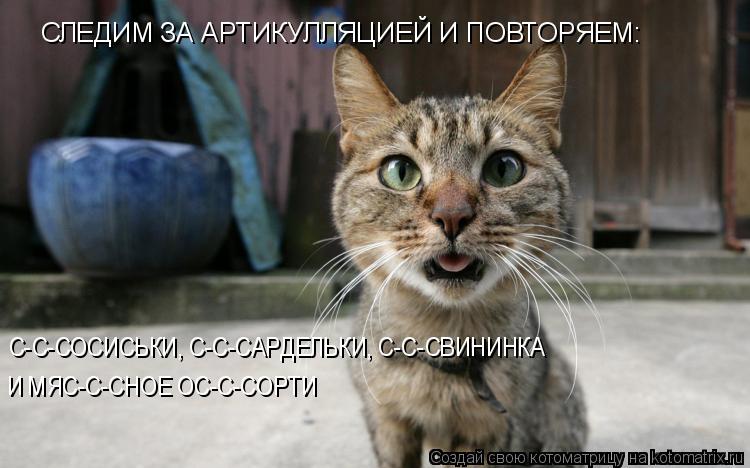 Котоматрица: СЛЕДИМ ЗА АРТИКУЛЛЯЦИЕЙ И ПОВТОРЯЕМ: С-С-СОСИСЬКИ, С-С-САРДЕЛЬКИ, С-С-СВИНИНКА И МЯС-С-СНОЕ ОС-С-СОРТИ