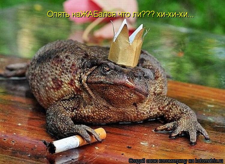 Котоматрица: Опять наЖАБался что ли??? хи-хи-хи...