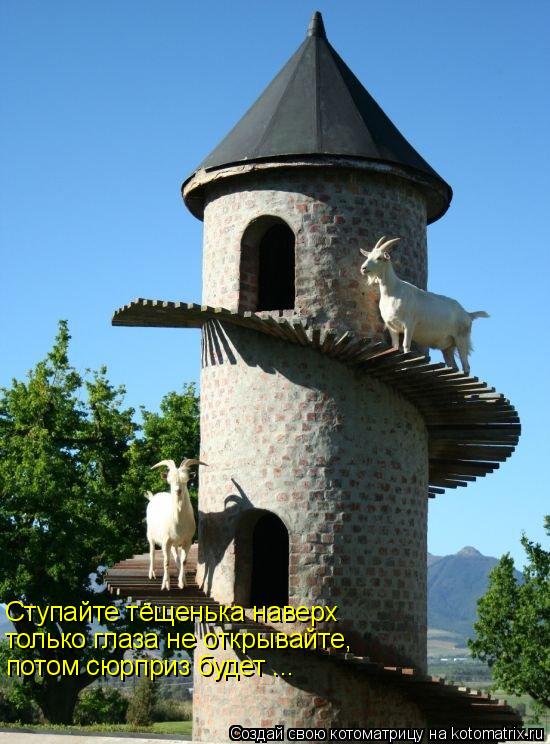 Котоматрица: Ступайте тёщенька наверх только глаза не открывайте, потом сюрприз будет ...