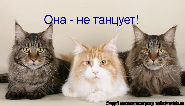 Котоматрица: Она - не танцует!