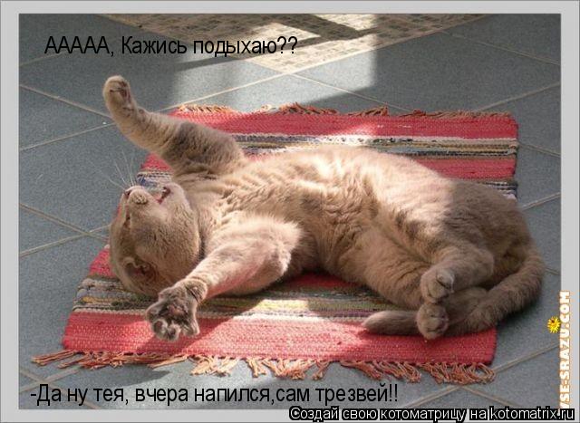 Котоматрица: ААААА, Кажись подыхаю?? -Да ну тея, вчера напился,сам трезвей!!