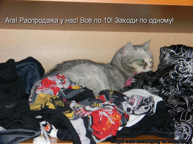 Котоматрица: Ага! Распродажа у нас! Всё по 10! Заходи по одному!