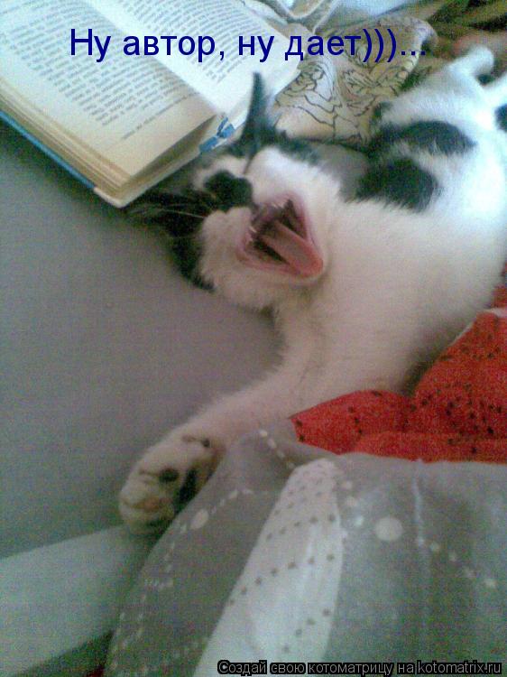 Котоматрица: Ну автор, ну дает)))...