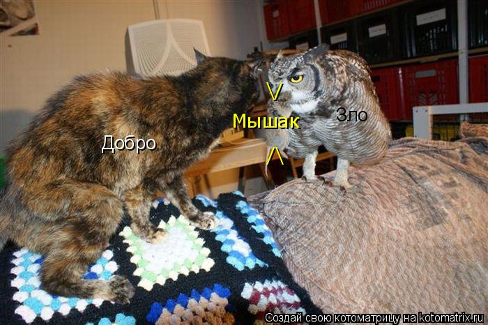 Котоматрица: Добро Зло Мышак \/ /\