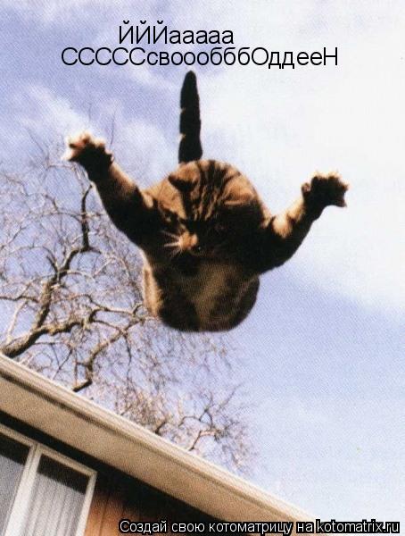 Котоматрица: ЙЙЙааааа СССССсвоообббОддееН