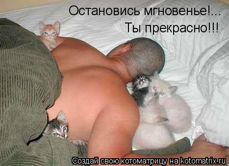 Котоматрица: Остановись мгновенье!... Ты прекрасно!!!