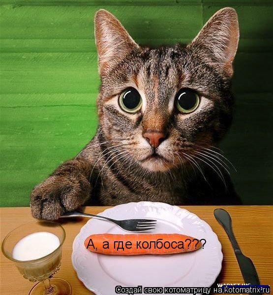 Котоматрица: А, а где колбоса???