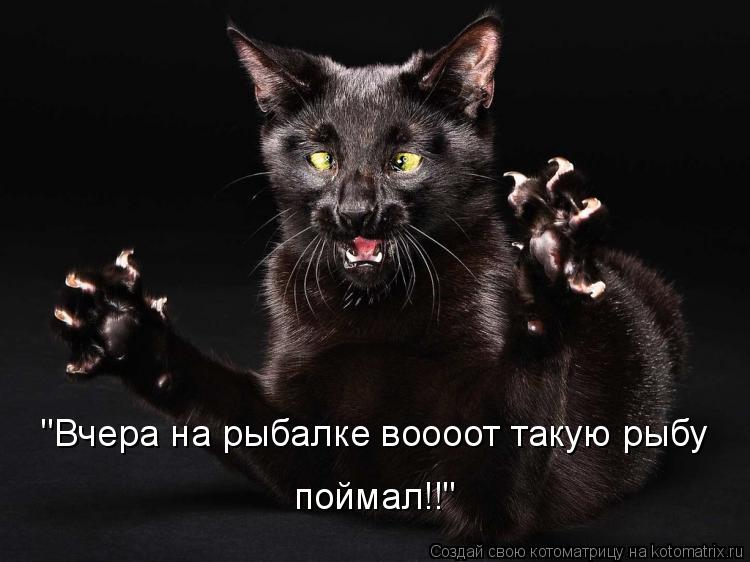 Котоматрица: "Вчера на рыбалке воооот такую рыбу  поймал!!"