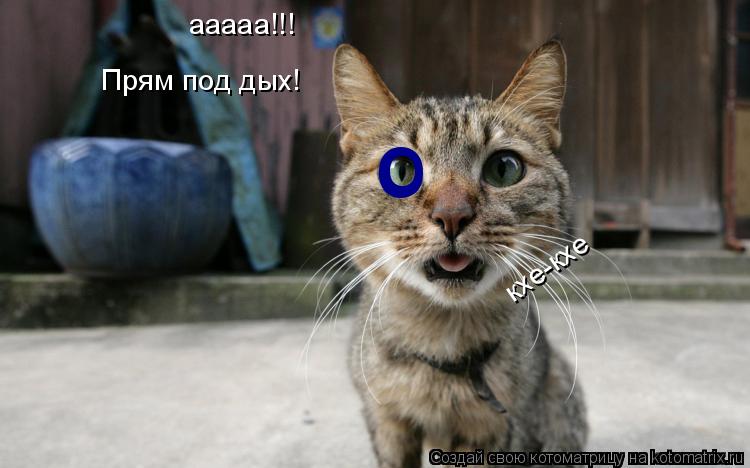 Котоматрица: о о ааааа!!! Прям под дых! кхе-кхе