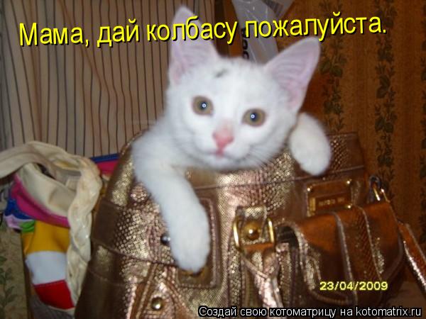 Котоматрица: Мама, дай колбасу пожалуйста.