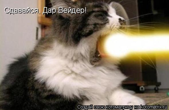 Котоматрица: Сдавайся, Дар Вейдер!