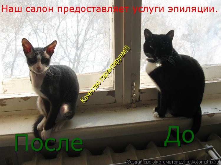 Котоматрица: Наш салон предоставляет услуги эпиляции. До После Качество гарантируем!!!