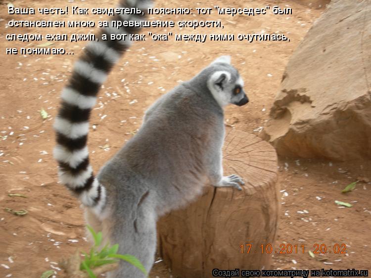 Котоматрица: Ваша честь! Как свидетель, поясняю: тот "мерседес" был  остановлен мною за превышение скорости, следом ехал джип, а вот как "ока" между ними оч