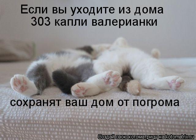 Если вы уходите из дома 303 капли валерианки сохранят ваш дом от погрома... Котоматрица: Если вы уходите из дома 303 капли валерианки сохранят ваш дом от погрома