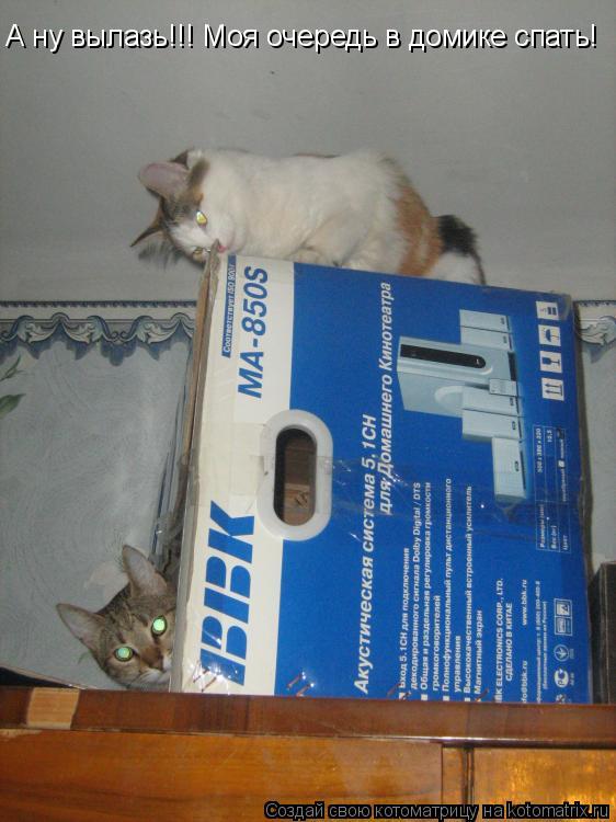 Котоматрица: А ну вылазь!!! Моя очередь в домике спать!
