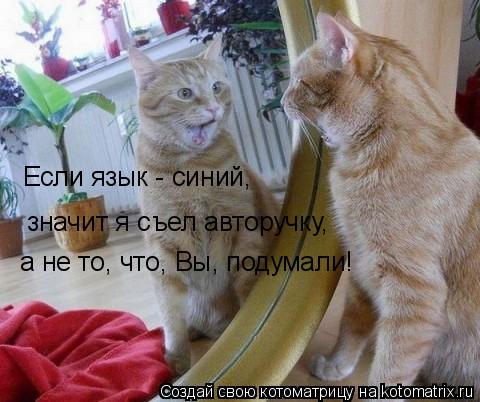 Если язык - синий, значит я съел авторучку, а не то, что, Вы, подумали!... Котоматрица: Если язык - синий, значит я съел авторучку, а не то, что, Вы, подумали!