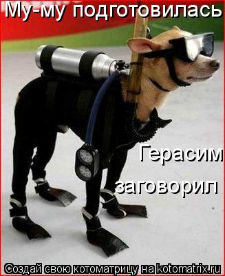 Котоматрица: Му-му подготовилась Герасим  заговорил