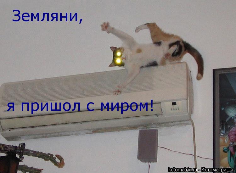 Котоматрица: Земляни, я пришол с миром!