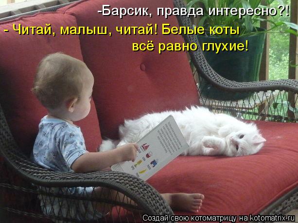 Котоматрица: -Барсик, правда интересно?! - Читай, малыш, читай! Белые коты  всё равно глухие!