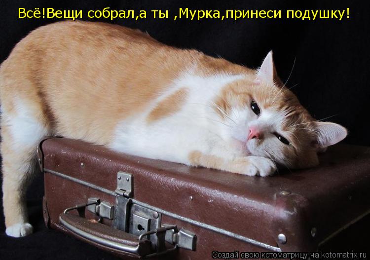 Котоматрица: Всё!Вещи собрал,а ты ,Мурка,принеси подушку!