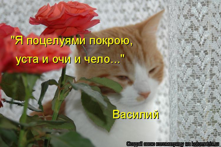 Котоматрица: "Я поцелуями покрою, уста и очи и чело..." Василий
