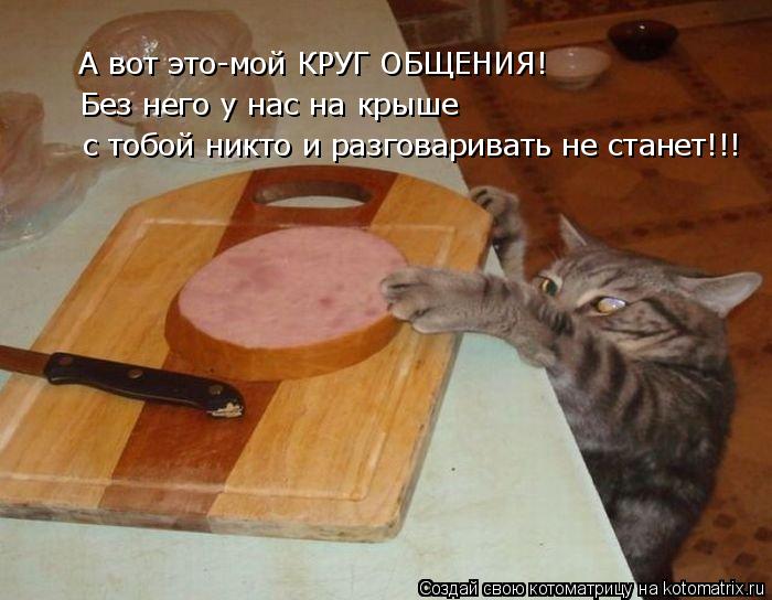 А вот это-мой КРУГ ОБЩЕНИЯ! Без него у нас на крыше с тобой никто и разговаривать не станет!!!... Котоматрица: А вот это-мой КРУГ ОБЩЕНИЯ! Без него у нас на крыше с тобой никто и разговаривать не станет!!!