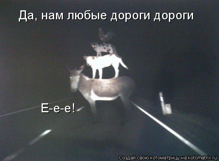 Котоматрица: Да, нам любые дороги дороги Е-е-е!