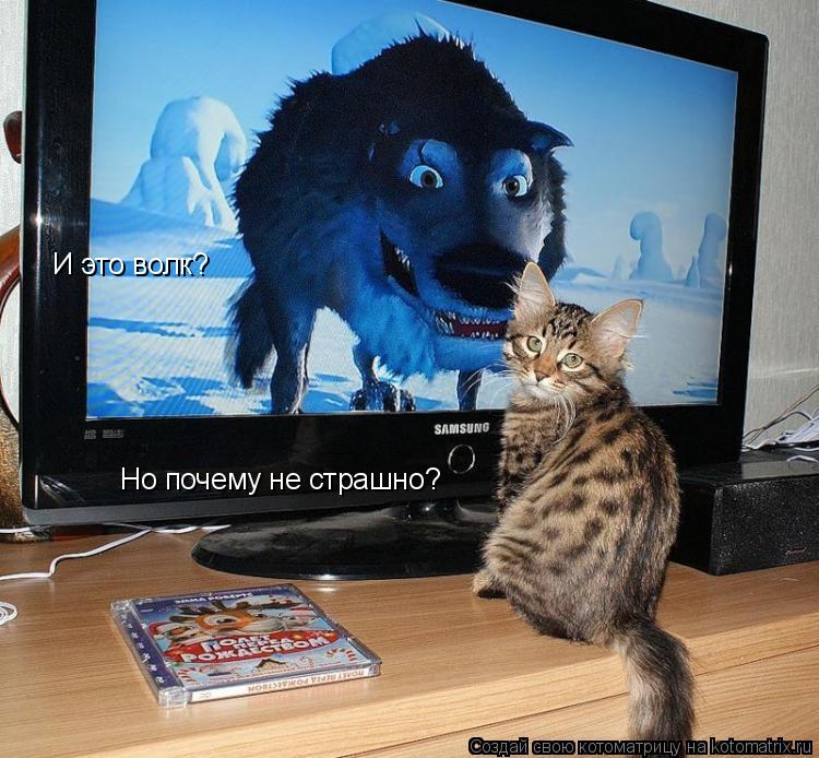 Котоматрица: И это волк? Но почему не страшно?