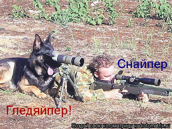 Котоматрица: Снайпер Гледяйпер!