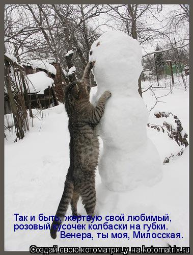 Котоматрица: Так и быть, жертвую свой любимый,  розовый кусочек колбаски на губки. Венера, ты моя, Милосская.