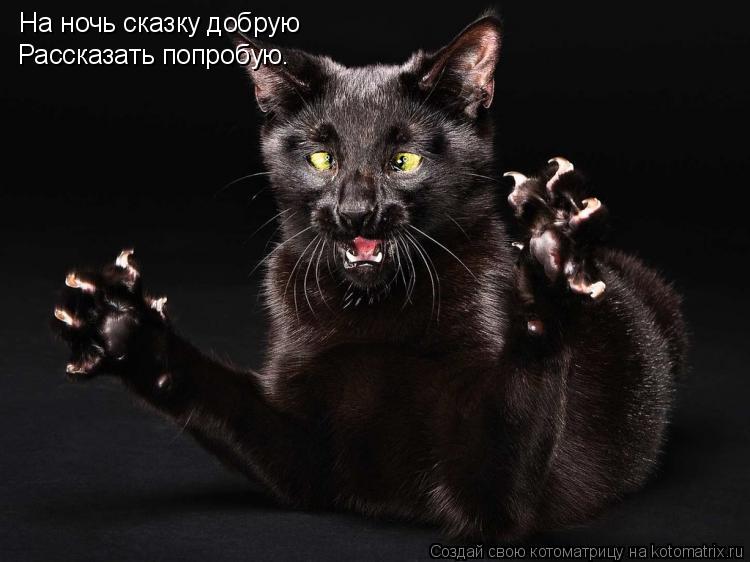 Котоматрица: На ночь сказку добрую Рассказать попробую.