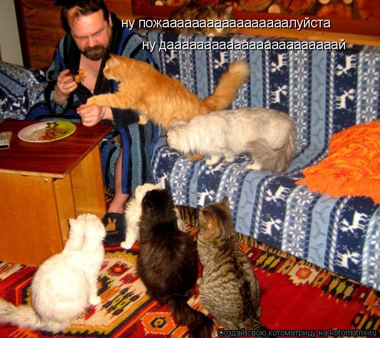 Котоматрица: ну пожааааааааааааааааалуйста ну дааааааааааааааааааааааай