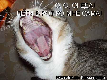 Котоматрица: О, О, О! ЕДА! ЛЕТИ В РОТ КО МНЕ САМА!