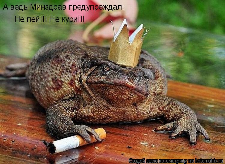 Котоматрица: А ведь Минздрав предупреждал:  Не пей!!! Не кури!!!
