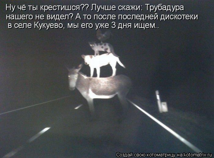 Ну чё ты крестишся?? Лучше скажи: Трубадура нашего не видел? А то после последней дискотеки в селе Ку... Котоматрица: Ну чё ты крестишся?? Лучше скажи: Трубадура нашего не видел? А то после последней дискотеки в селе Кукуево, мы его уже 3 дня ищем..