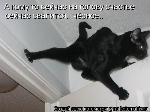 Котоматрица: А кому то сейчас на голову счастье сейчас свалится...чёрное....