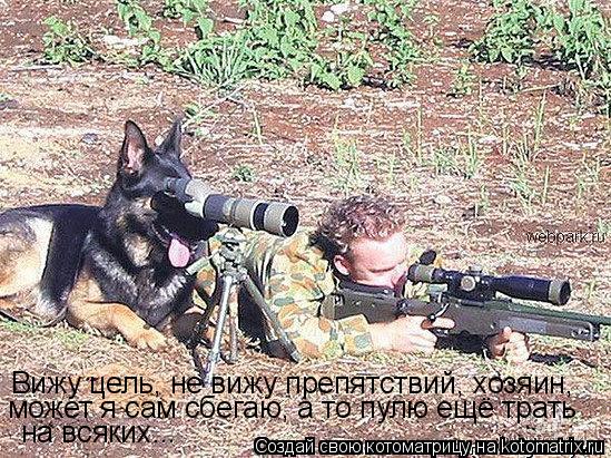 Котоматрица: Вижу цель, не вижу препятствий, хозяин,  может я сам сбегаю, а то пулю ещё трать на всяких...