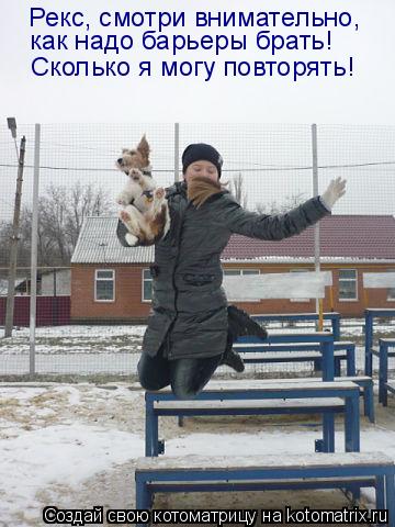 Котоматрица: Рекс, смотри внимательно,  как надо барьеры брать! Сколько я могу повторять!