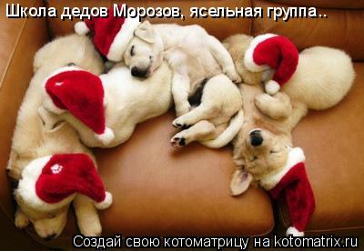 Котоматрица: Школа дедов Морозов, ясельная группа..