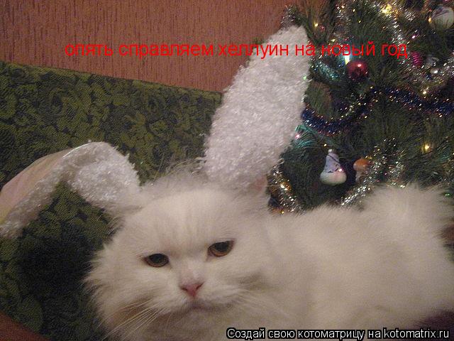 Котоматрица: опять справляем хеллуин на новый год