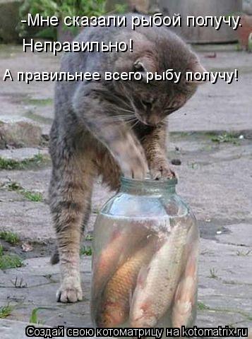 -Мне сказали рыбой получу. Неправильно! А правильнее всего рыбу получу!... Котоматрица: -Мне сказали рыбой получу. Неправильно! А правильнее всего рыбу получу!