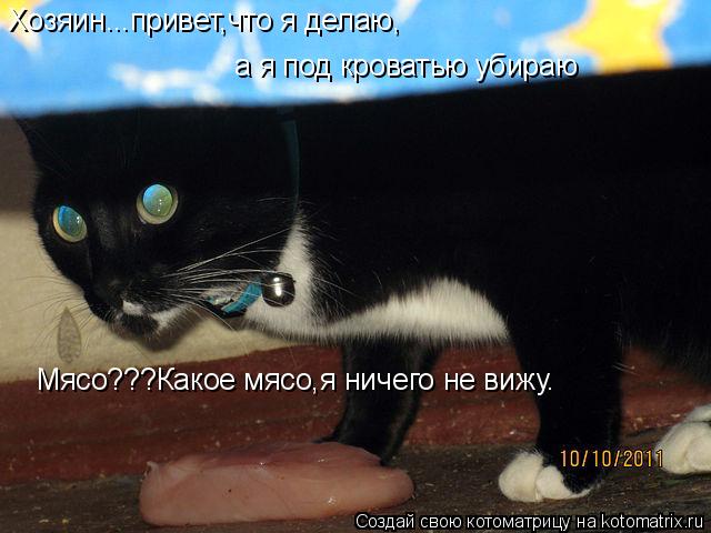 Хозяин...привет,что я делаю, а я под кроватью убираю Мясо???Какое мясо,я ничего не вижу.... Котоматрица: Хозяин...привет,что я делаю, а я под кроватью убираю Мясо???Какое мясо,я ничего не вижу.