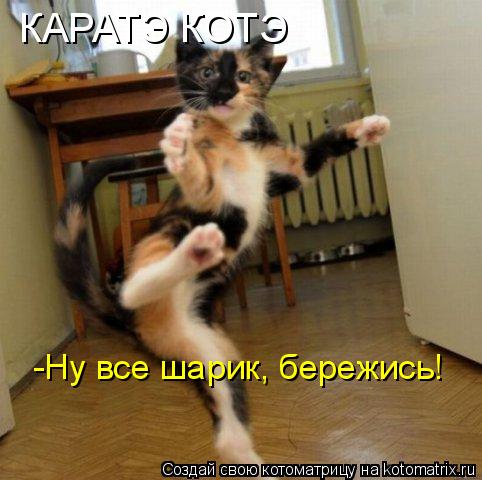 КАРАТЭ КОТЭ -Ну все шарик, бережись!... Котоматрица: КАРАТЭ КОТЭ -Ну все шарик, бережись!