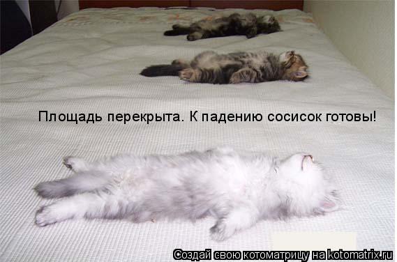 Площадь перекрыта. К падению сосисок готовы!... Котоматрица: Площадь перекрыта. К падению сосисок готовы!